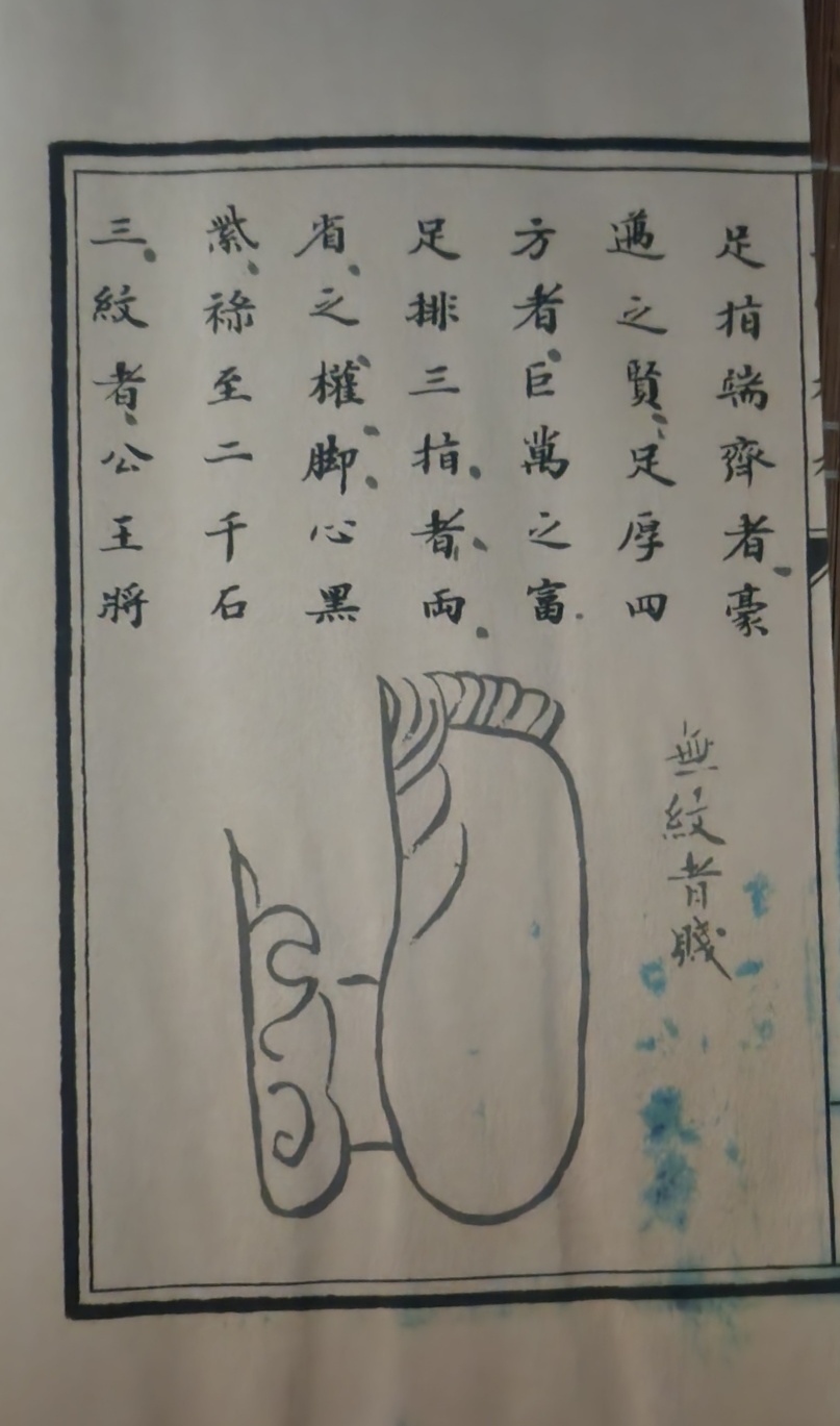 235149625_yc1M5Wx9_1b0e7d2d2a51aba2d01cd72dc706537aca958daf.jpg 이미지크게보기